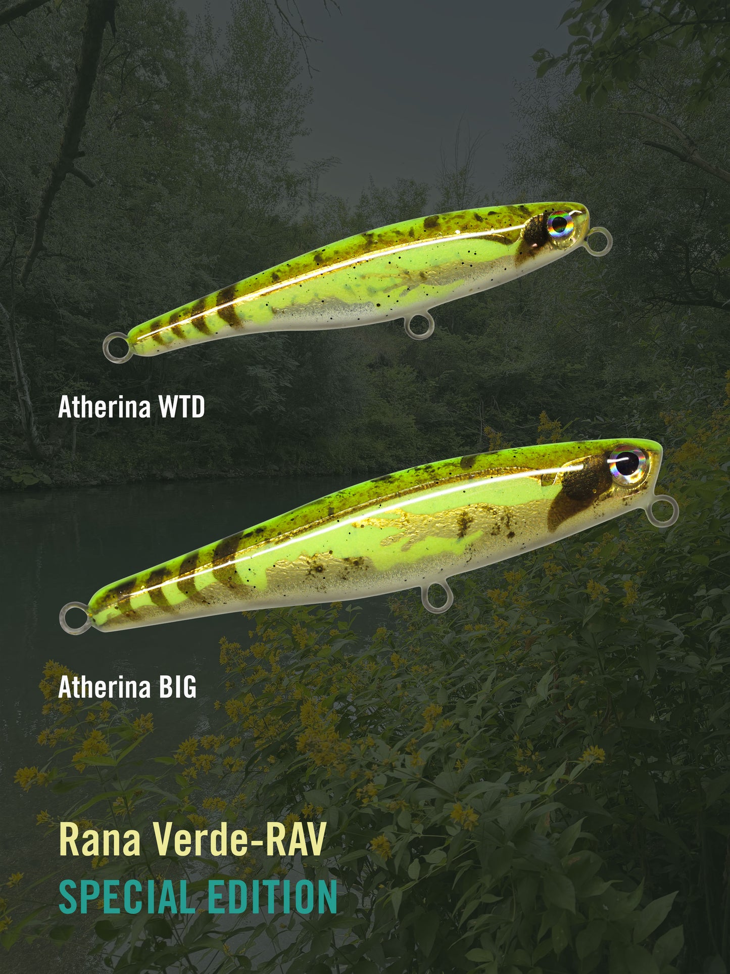 Atherina WTD BIG